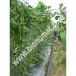 BioNumac Natural Plant Nutrient Concentrate 350ml